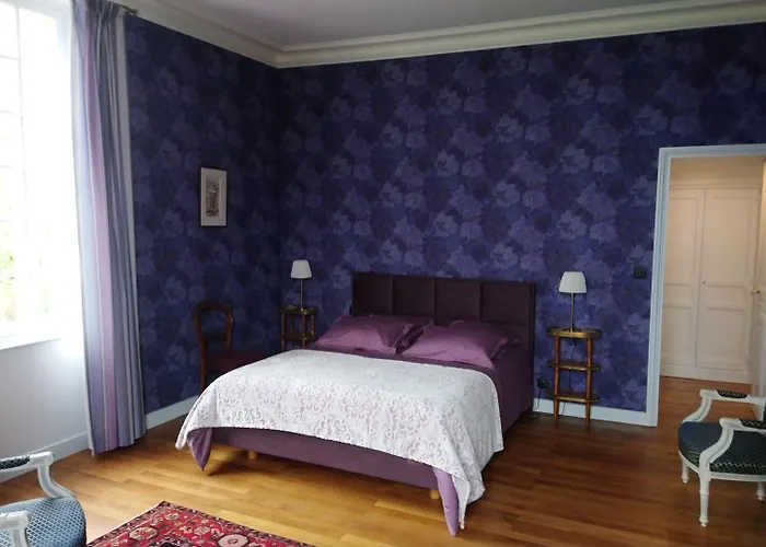 Bed & Breakfast Manoir De Conjon 3*